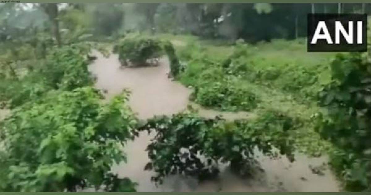 Assam: Chirang, Bongaigaon flooded as Brahmaputra in spate